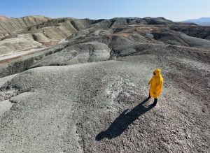 EverStart Maxx Jump Starter Manual - Free Download Guide